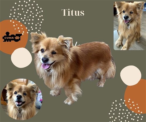 Titus (Ritzy)