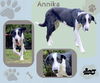 Annika (Ritzy)