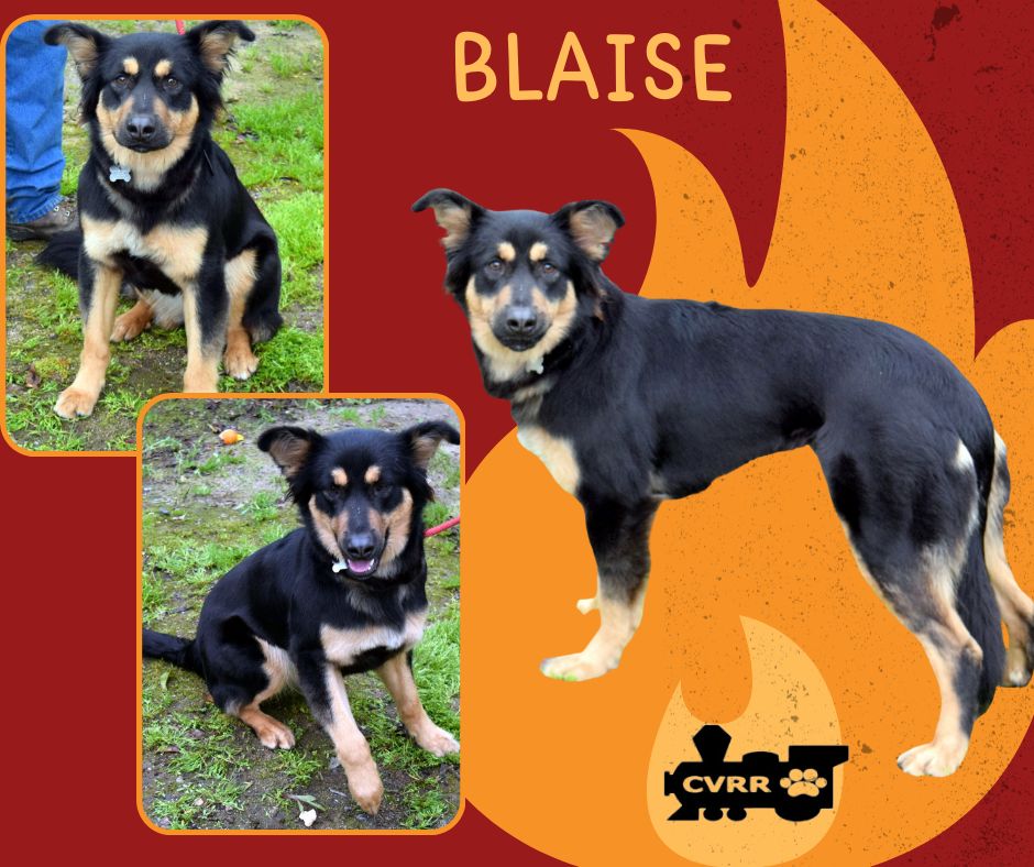 Blaise's Web Page