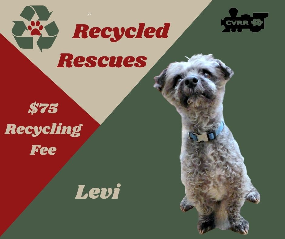 Levi (Recycle)'s Web Page