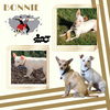 Bonnie