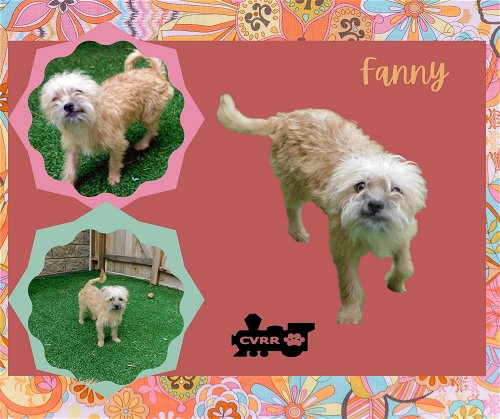 Fanny  (Ritzy)