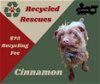 Cinnamon (Recycle)