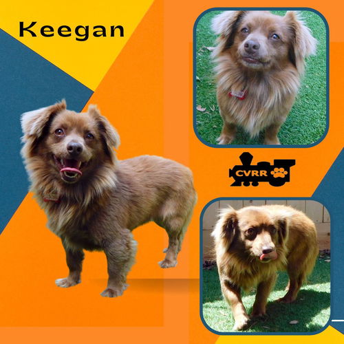 Keegan