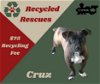 Cruz (Recycle)