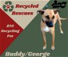 Buddy George (Recycle)
