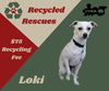 Loki (Recycle)