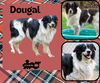 Dougal