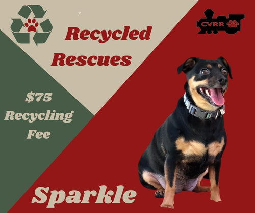 Sparkle (Recycled)