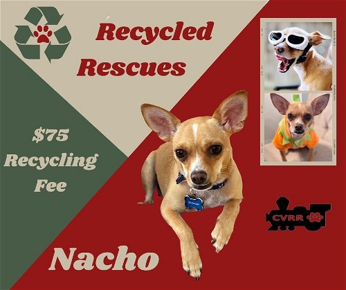 Nacho (Recycle)