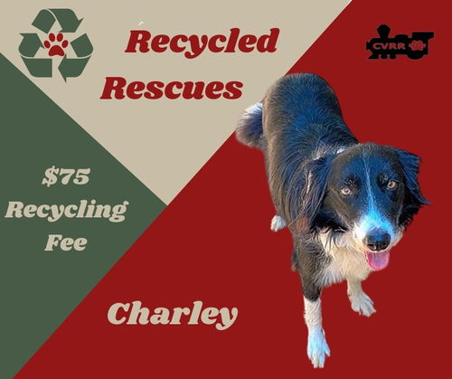 Charley (Recycle)