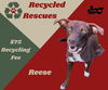 Reesie (Recycle)