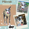 Hannah