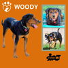 Woody