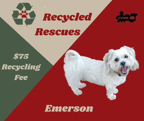 Emerson (ReCycle)