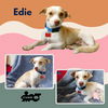Edie