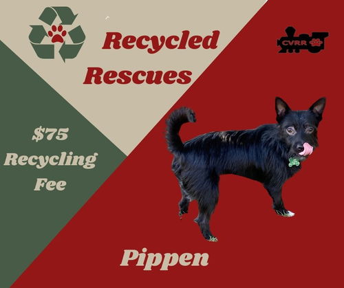 Pippin (ReCycle)