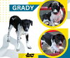 Grady