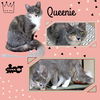 Queenie
