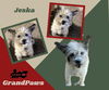 Jeska (GrandPaws)