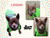 Logan