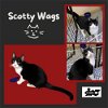 Scotty Wags (Cat)