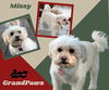Missy (RitzyGP))