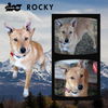Rocky