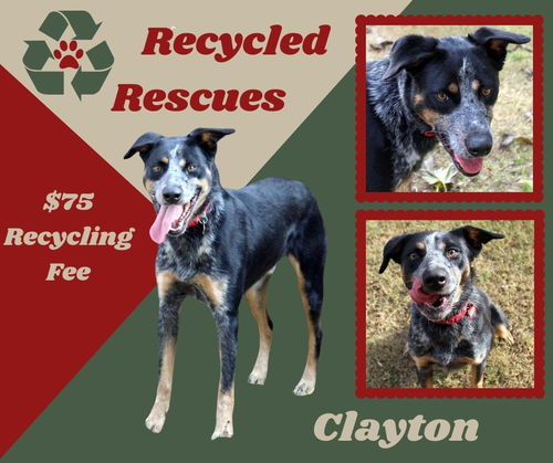 Clayton (Recycle)