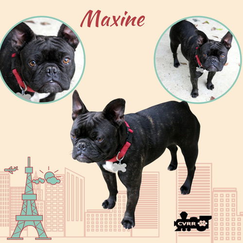 Maxine (Ritzy)