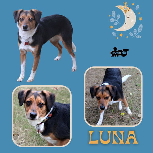 Luna