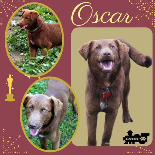 Oscar