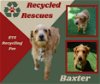 Baxter Recycle)
