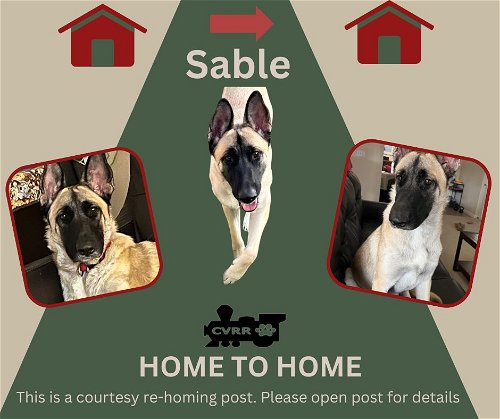 *Sable (Home to Home)