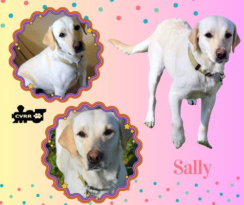 Sally (Ritzy)