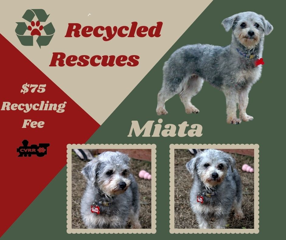Miata Recycle s Web Page miata-recycle-s-web-page