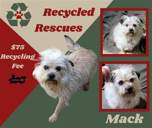 Mack (Recycle)