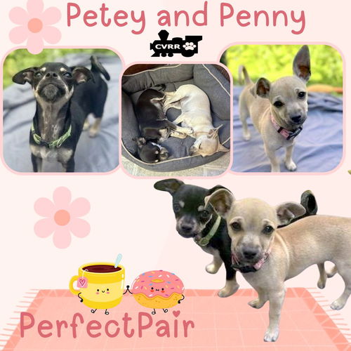 Petey and Penny