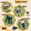 FrenchPug Pups (Posh Puppy)