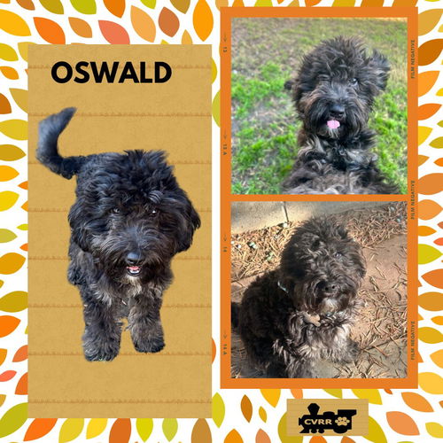 Oswald