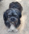 Armani (Ritzy)