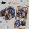 Armani (Ritzy)