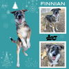 Finnian