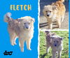 Fletch