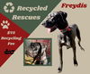 Freydis (Recycle)