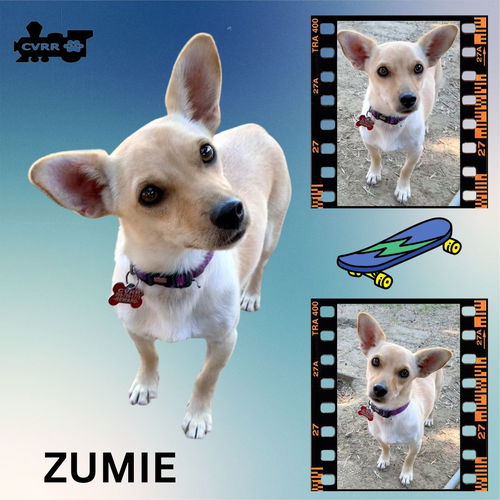 Zumie