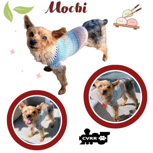 Mochi