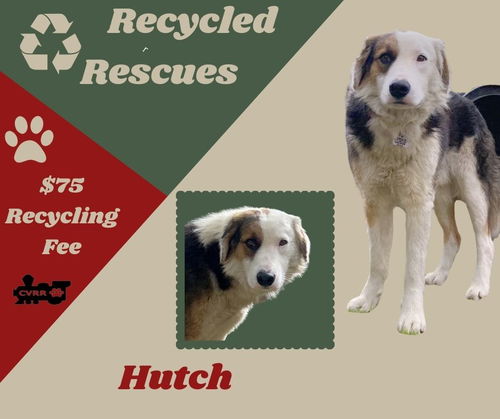 Hutch (Recycle)