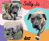 Sally Jo