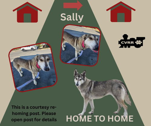 *Sally (Home to Home)